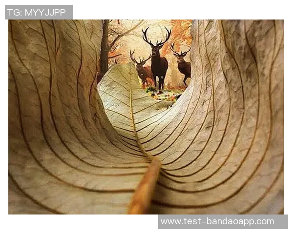 足球场上的奇观：鸟儿自由穿梭于绿茵之间的美丽瞬间